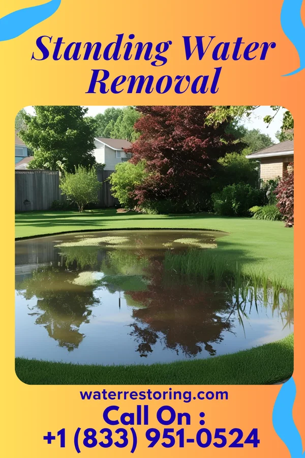 Standing Water Removal in Platte, SD